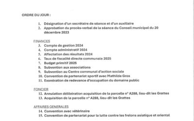Réunion du Conseil municipal le 21 mars 2025