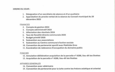 Réunion du Conseil municipal le 21 mars 2025
